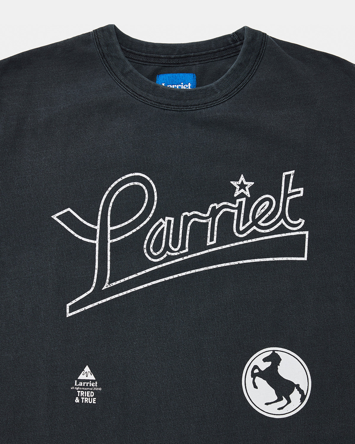 Larriet Tried & True Tee - Used Black